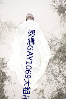 欧美GAY1069大粗吊