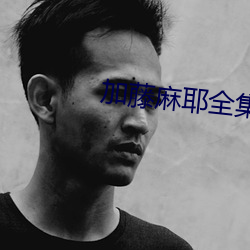 加藤麻耶全集