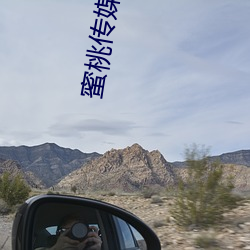 蜜桃(桃)传媒官方