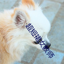 超短裙女教師