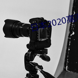 日本2020高(gāo)清电影