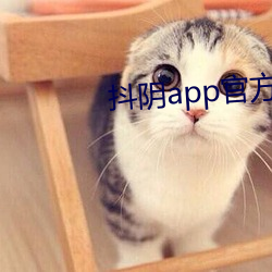 抖陰app官方版下載