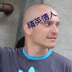 精英情人