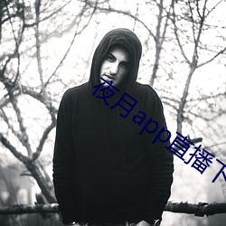 夜月app直播下载安装