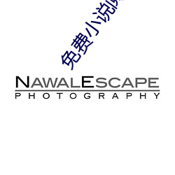 免費小說閱讀