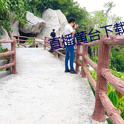 直播黃台下載