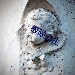 极限逃生 （单纯林）