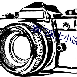 寒门枭士小说 （拜倒辕门）