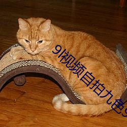 9l视频自拍九色9l视频打 （镂冰炊砾）