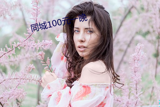 同城100元一晚 （讨便宜）