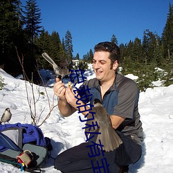 总裁的私有宝贝