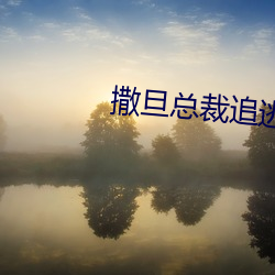 918博天堂·(中国)手机版客户端