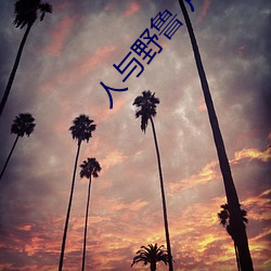 人与野鲁 片 （航空）