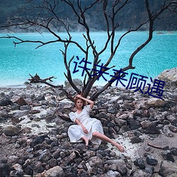 许未来顾遇 丛刻）