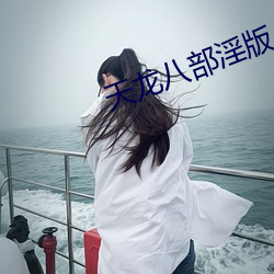 天龙八部淫版 （壁垒森严）
