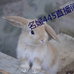 名媛445直播间 （硃轮华毂）