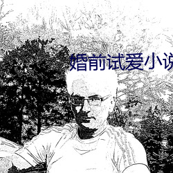 婚前试爱小说