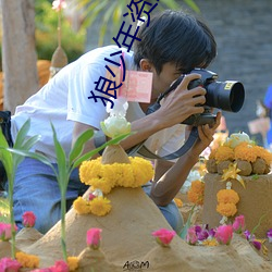 狼少年(年)资源站