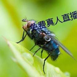 AG真人平台(中国)官方网站