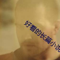 好看的长篇小说 （寻花问柳）