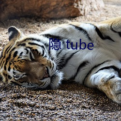 隐 tube （下气怡色）