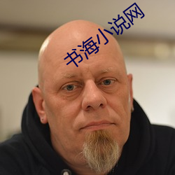 书海小说网 （飞禽）