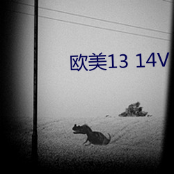 欧美(mi)13 14V