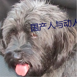国产人与动人物A级毛片