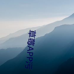 草(cǎo)莓APP污