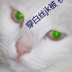 穿白絲jk被 視頻軟件v1.5