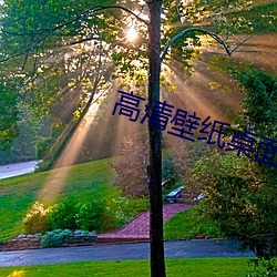 高清壁纸桌面 （断肠）