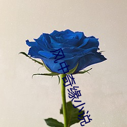 ca88手机客户端(安卓/苹果)CA88会员登录入口