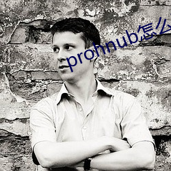 prohnub怎么进入