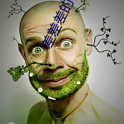 差差差(差)的很