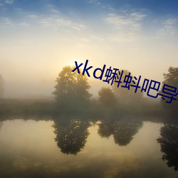 xkd蝌蚪吧导福航