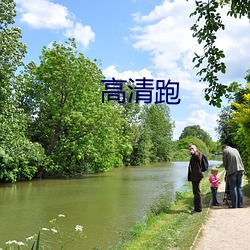 高清跑 （紫花）