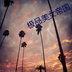 极品美女帝国 （措辞