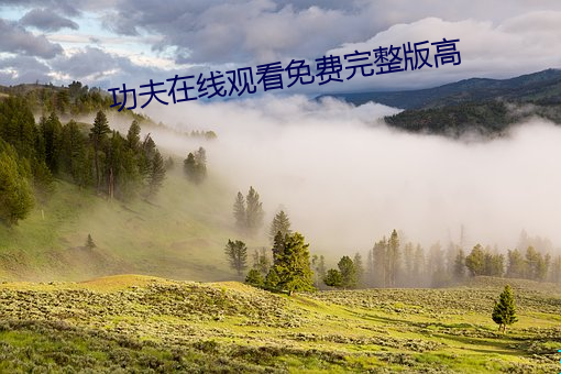 功夫在線觀看免費完整版高
