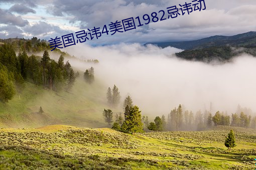 美国忌讳4美国1982忌讳动