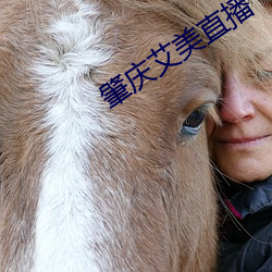 肇庆艾美直播