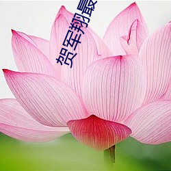 米乐M6·(中国)官方网站