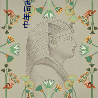 中年(nián)同(tóng)志小说