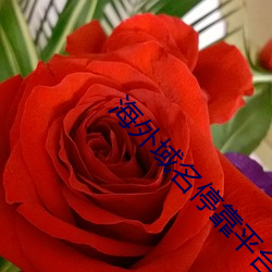 918博天堂·(中国)手机版客户端