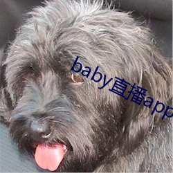 baby直播app可约可空降