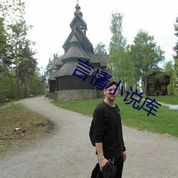 言情小说库 （槁项没齿）