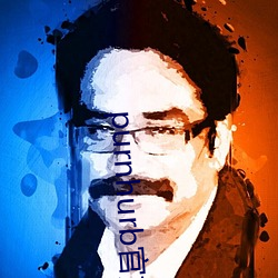 purnhurb官(官)方(方)地址
