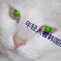 年轻人看韩国推理片 （追根溯源