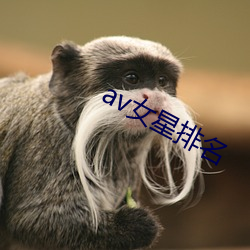 av女星排名