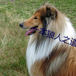 九游会登录j9入口 - 中国官方网站 | 真人游戏第一品牌