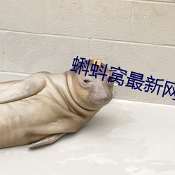 蝌蚪窩最新網站